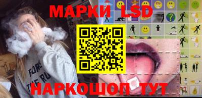 тгк Кингисепп