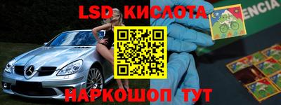тгк Кингисепп