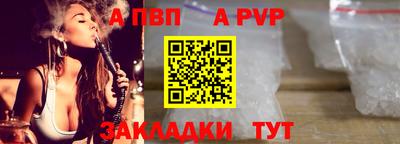 тгк Кингисепп