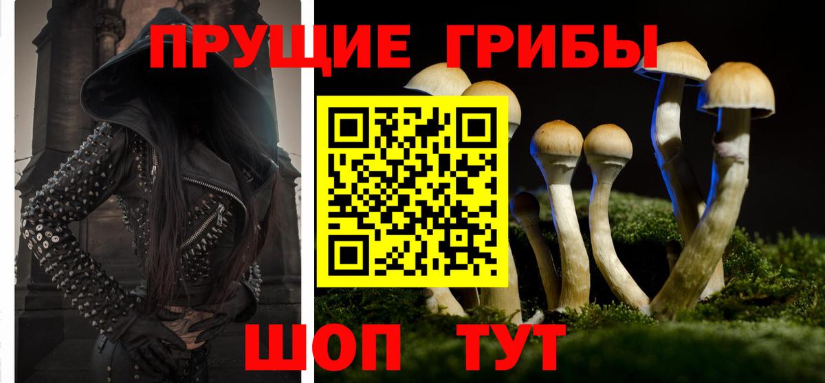 Галлюциногенные грибы GOLDEN TEACHER Кимовск